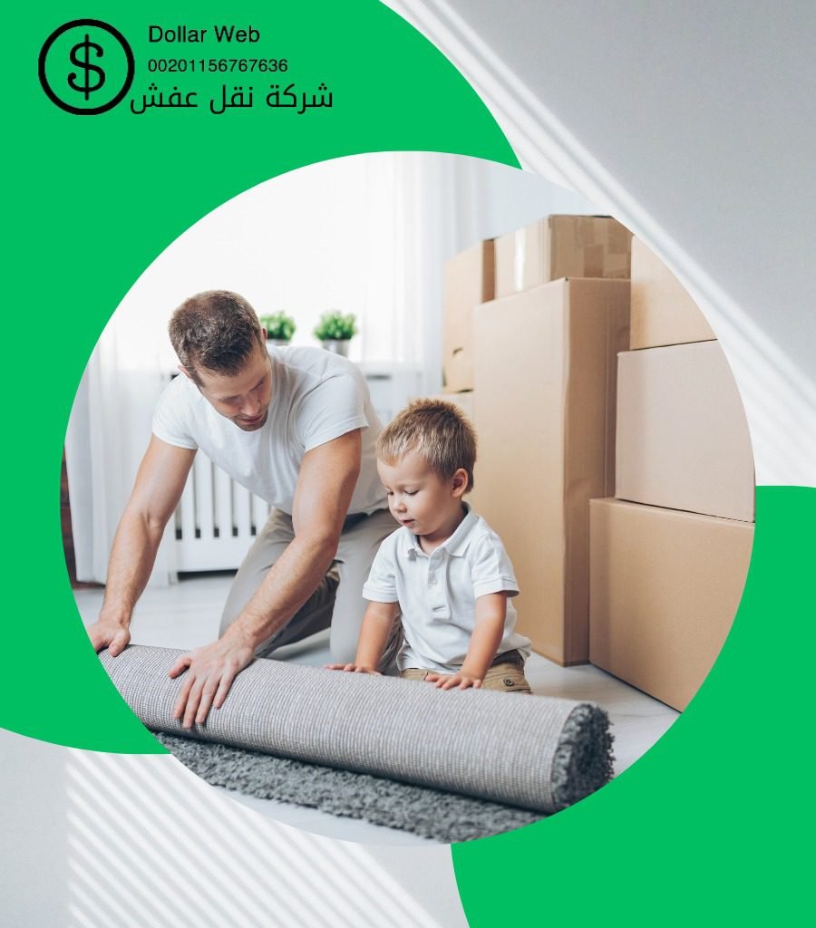 شركات نقل عفش السالميه